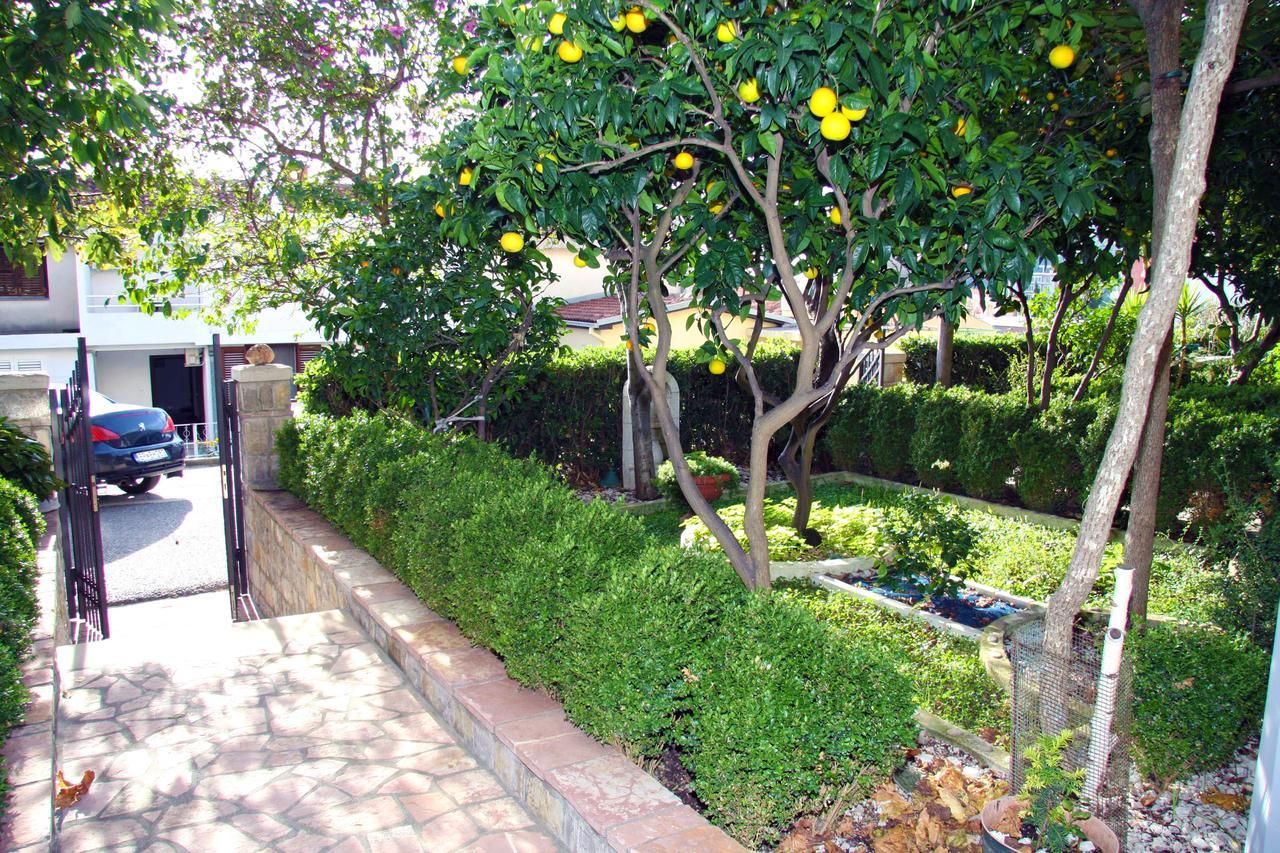 Mm Kovacevic Apartments Petrovac Exterior photo